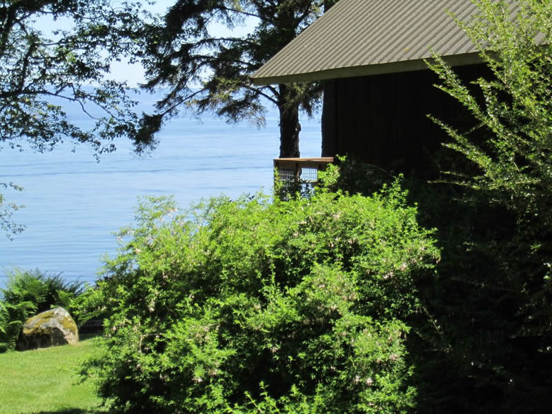 Home Olympic Peninsula Waterfront Cabins